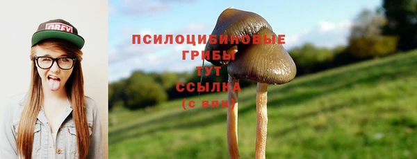 каннабис Алексеевка