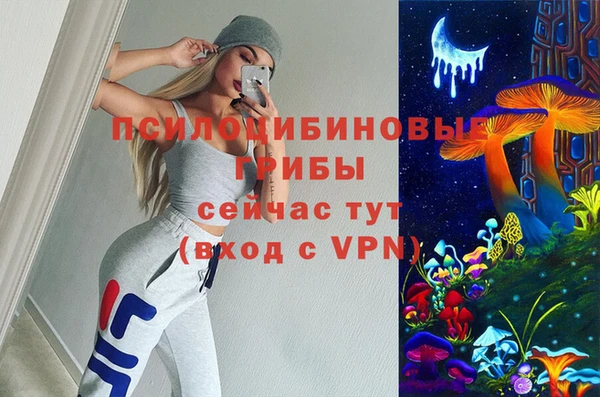 ПСИЛОЦИБИНОВЫЕ ГРИБЫ Алексин